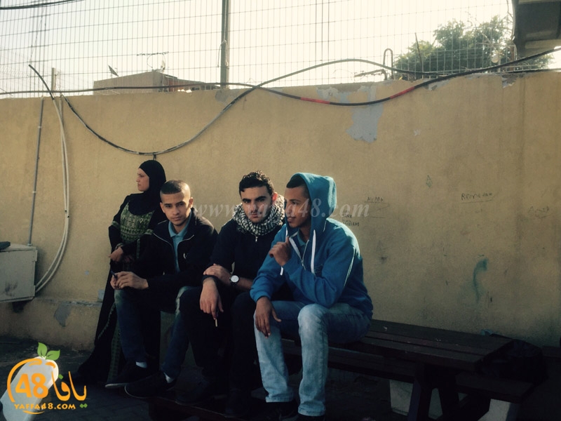 dawry 3ola schooal (7).jpg